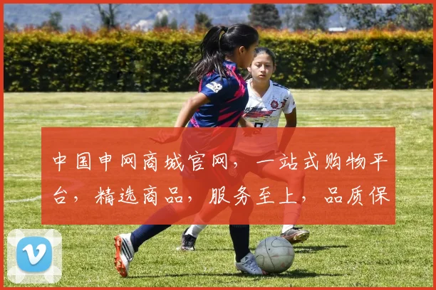 中国申网商城官网，一站式购物平台，精选商品，服务至上，品质保证，购物新体验