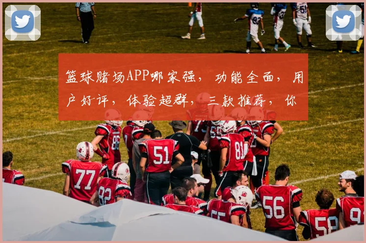 篮球赌场APP哪家强，功能全面，用户好评，体验超群，三款推荐，你选哪款