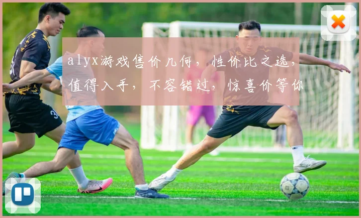 alyx游戏售价几何，性价比之选，值得入手，不容错过，惊喜价等你来